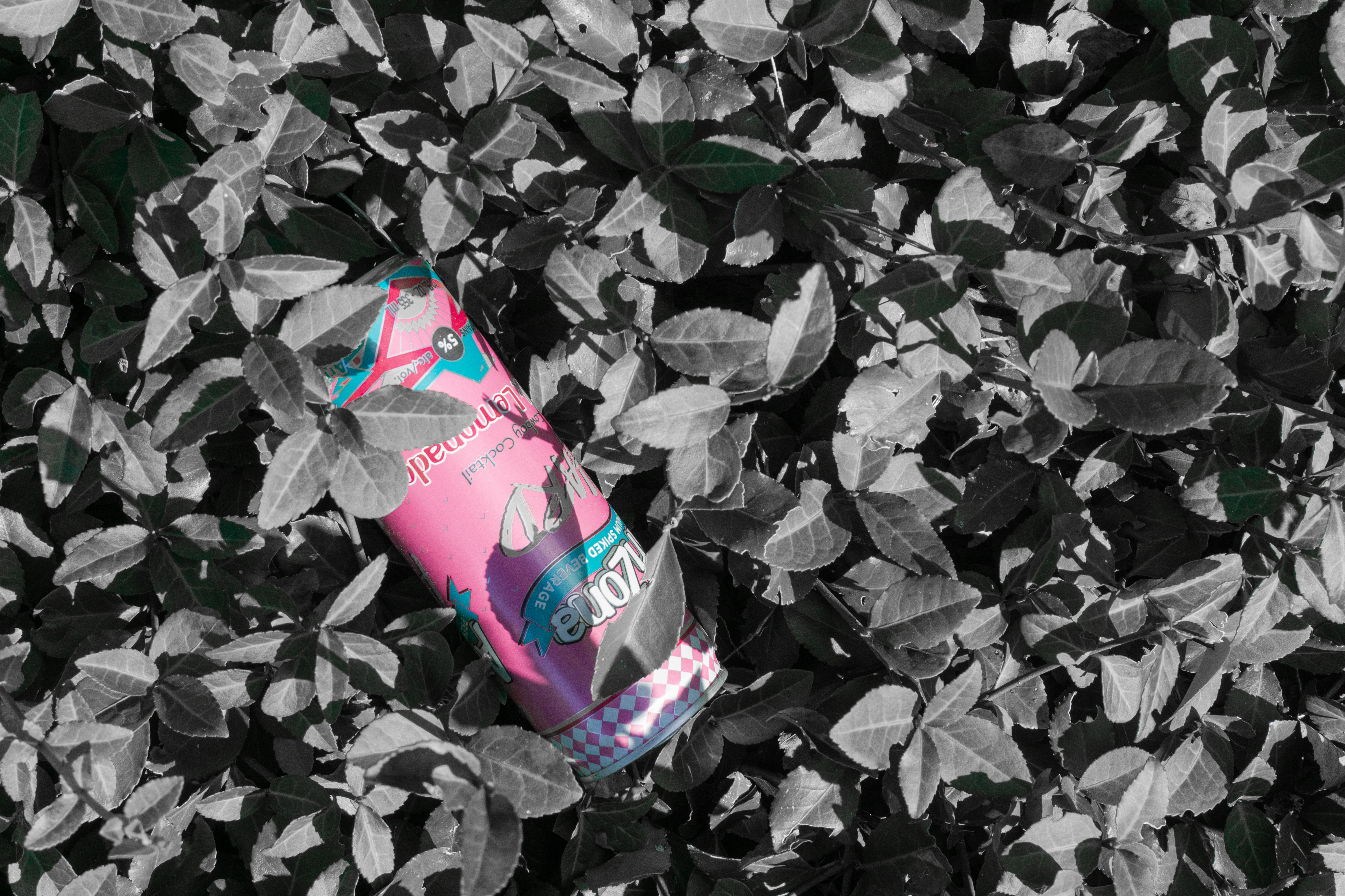 Project 1 main visual